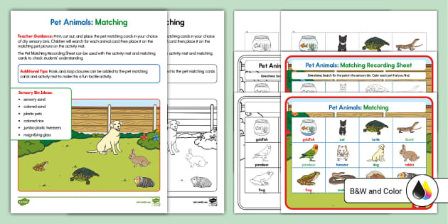 Pets Sensory Bin Matching Activity Mat (teacher made)