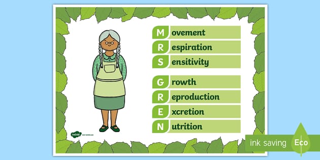 Characteristics of Living Things Display Poster - Twinkl