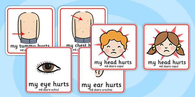 Parts of the Body Communication Cards Romanian Translation - romanian