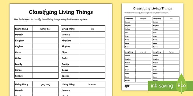 Classifying Living Things Worksheet (teacher made) - Twinkl