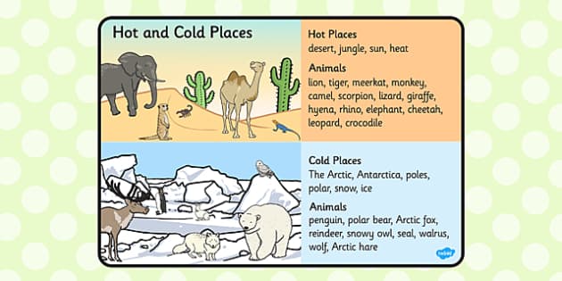 Animals in Hot and Cold Climates Display Photos - Twinkl