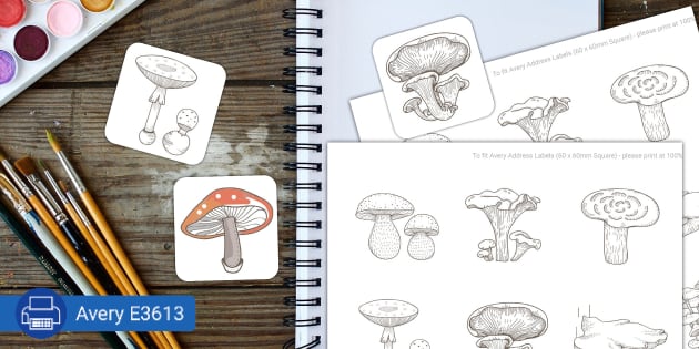 Mindfulness Colouring - Mushroom Stickers (teacher made)