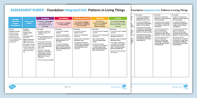 STEM IU Foundation Patterns in Living Things Assessment Rubric