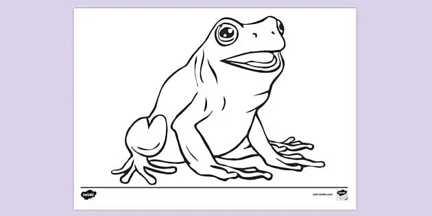 https://images.twinkl.co.uk/tw1n/image/private/t_630_eco/image_repo/73/32/t-tp-2663269-realistic-frog-colouring-pages_ver_2.webp