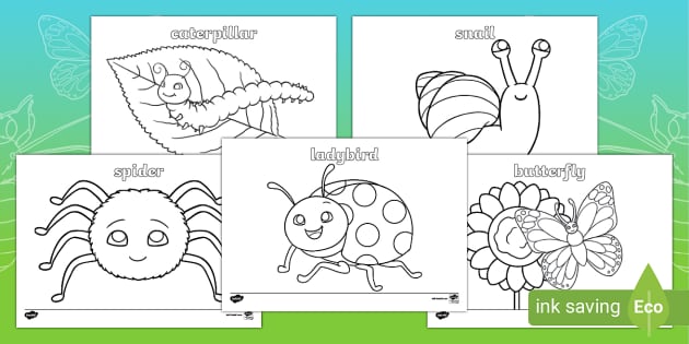 Minibeasts Picture and Word Colouring Sheets | Twinkl