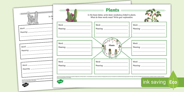 * NEW * Plants Vocabulary Mind Map - Twinkl