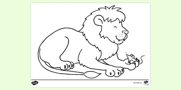 How to Draw a Lion - Cool2bKids