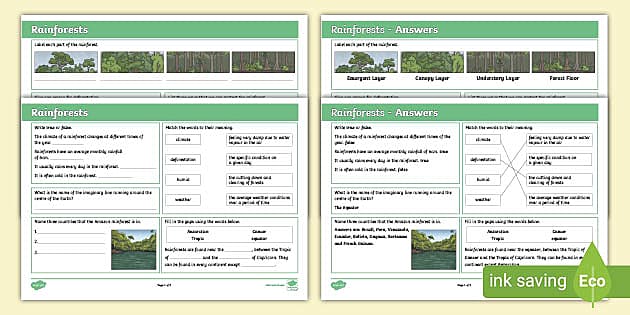 KS2 Geography Revision Mat: Rainforests - Twinkl