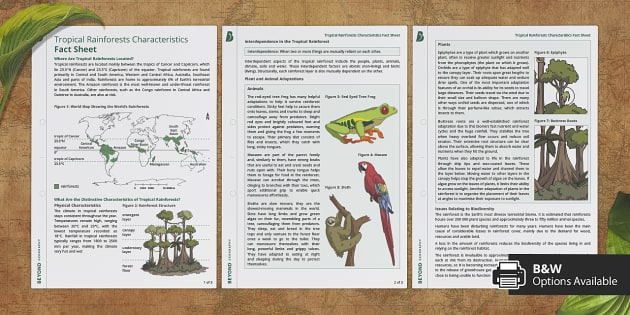 Aqa Gcse Tropical Rainforests Characteristics Fact Sheet 5434
