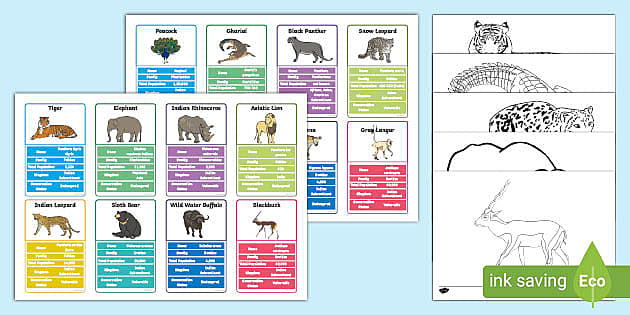 Wild Animals (India) - Learn and Colouring Sheets - Twinkl