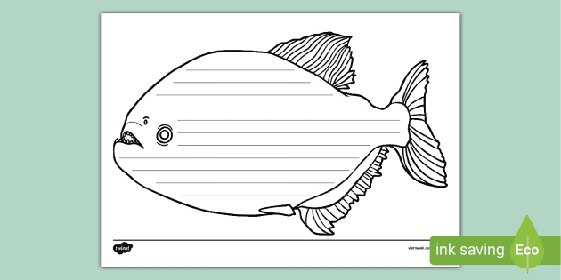 How to Draw a Piranha – Cartoon Style! | The Drawing Journey