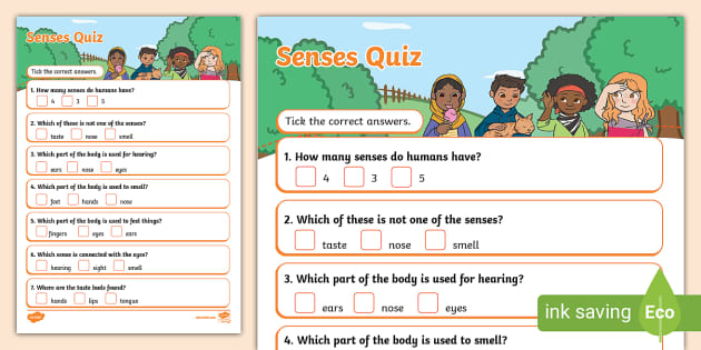 senses homework ks1