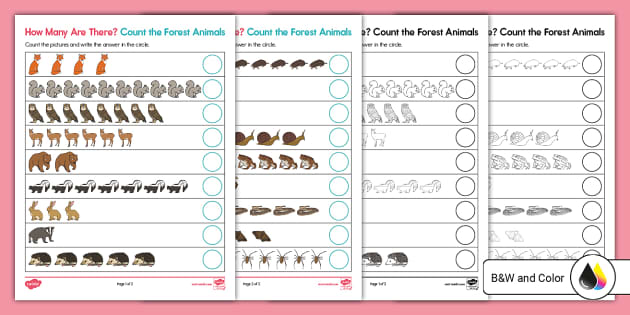How Many Are There Worksheet | Science | Twinkl USA - Twinkl