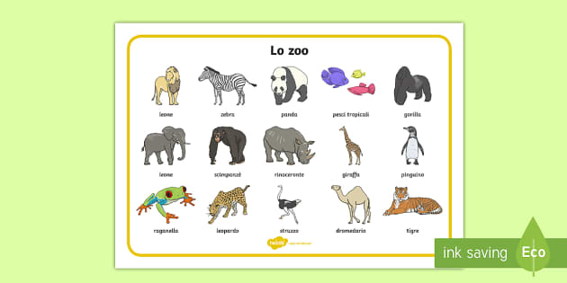 Lo zoo Vocabolario Illustrato (l'insegnante ha fatto)