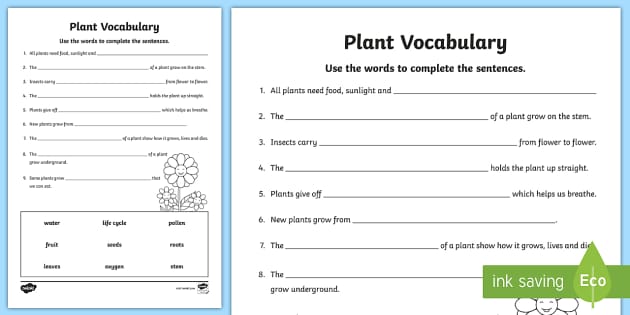 Plant Vocabulary Worksheet (teacher made) Twinkl