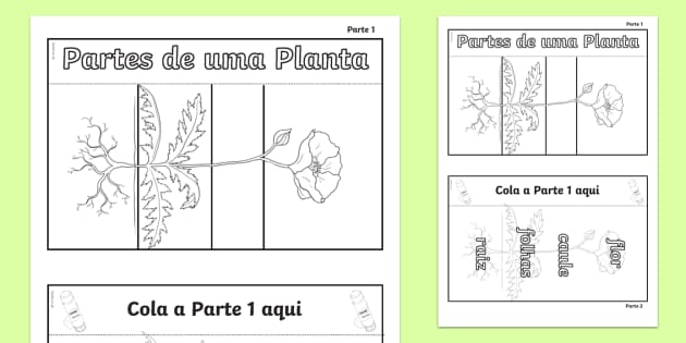 Que inicial de planta voce é