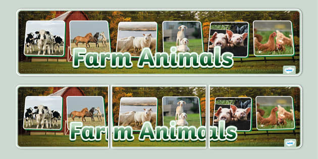 Farm Animals Photo Display Banner (teacher made) - Twinkl