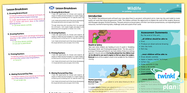 Art: Wildlife Birds UKS2 Planning Overview CfE - Twinkl