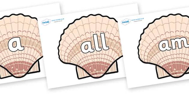 FREE! - Foundation Stage 2 Keywords on Seashells - Twinkl