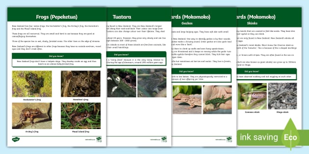 New Zealand Native Animals - Reptiles and Frogs Fact Files