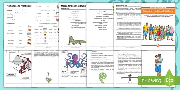 Introduction To Te Reo Māori Models Of Wellbeing Booklet