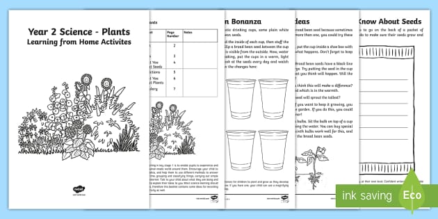 Year 2 Science Plants Activity Booklet - Key Stage 1