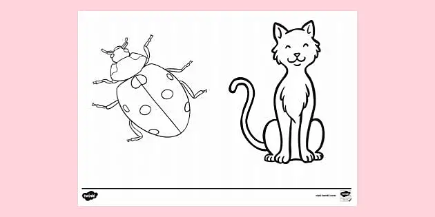 104 Coloring Pages Cat Noir Best