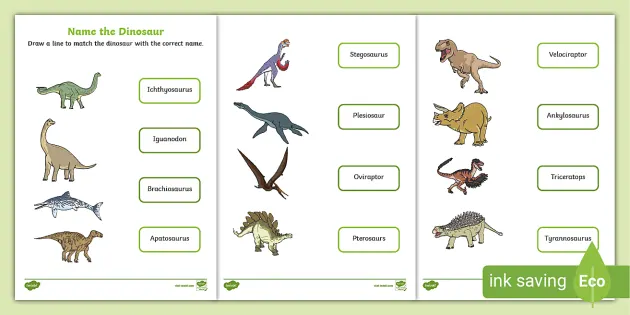 Types of Dinosaurs Matching Game