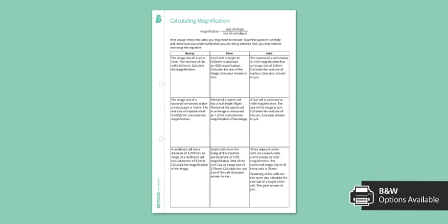 calculating-magnification-worksheet-l-enseignant-a-fait