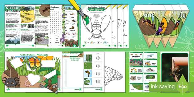 New Zealand Minibeasts Activity Pack - Twinkl