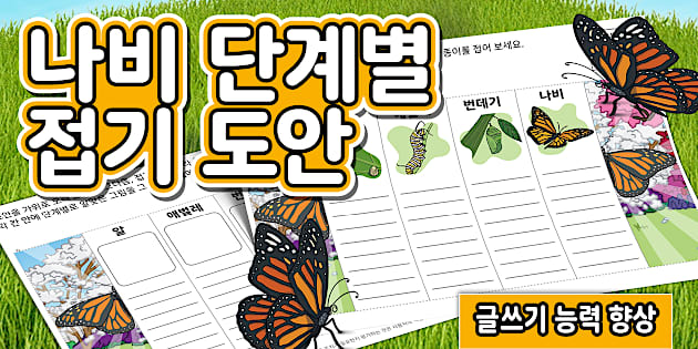 나비 단계별 접기 도안 | Butterfly Folding Life Stages Template