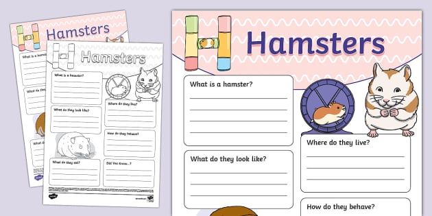 Hamsters Fact File Template (Lehrer gemacht) - Twinkl