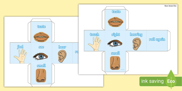 Five Senses Dice Template Teacher Made Twinkl