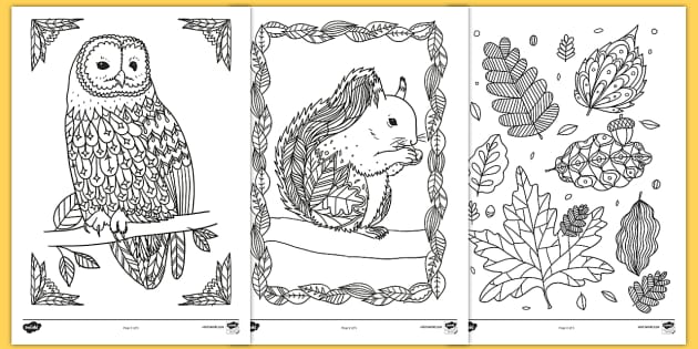 Autumn Animals For Preschool - Mindfullness Colouring