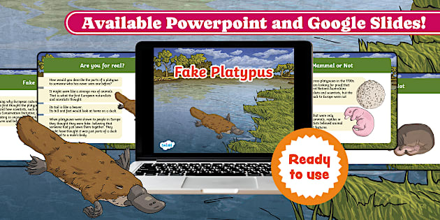 Fake Powerpoint Sticker Fake Platypus PowerPoint