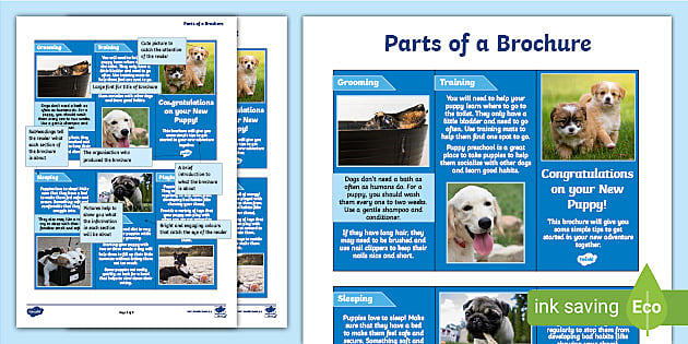 parts-of-a-brochure-comprehension-task-text-type-resources