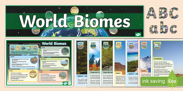 Biomes Display Pack KS2 - Twinkl