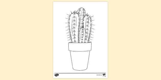 FREE! - Prickly Pear Cactus Colouring Sheet | Colouring Sheets