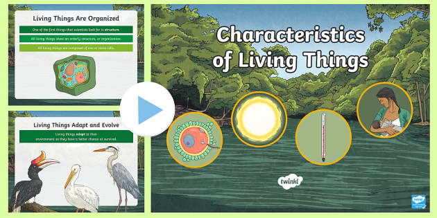 The Characteristics of Living Things