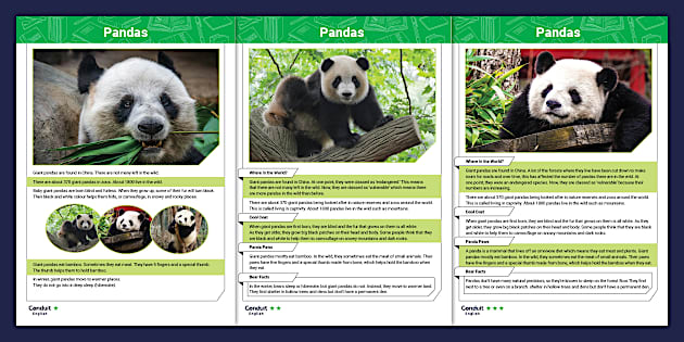 Reinforcing Reading: Pandas Reading Comprehension - Twinkl