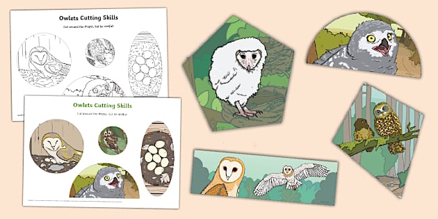 Owlets Cutting Skills Worksheets Hecho Por Educadores 3838