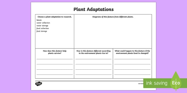 Plant Adaptations Research Worksheet / Activity Sheet