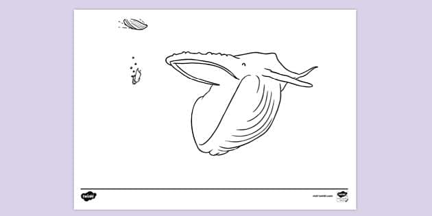 jonah the whale coloring pages