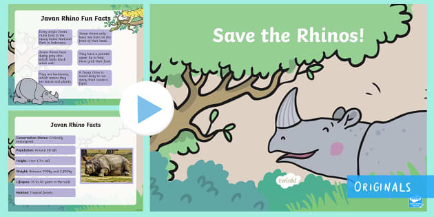 Save The Rhinos Persuasive Writing PowerPoint (teacher made)