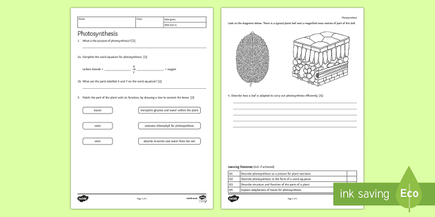 Photosynthesis Worksheet - KS3 Biology Resources - Twinkl