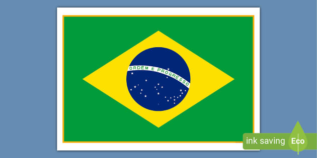  Brazil Brazilian Flag Cool  Forest Brasil Gifts