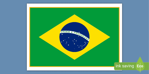 Brazil icon Shape of the country with Brazil flag Round sign with