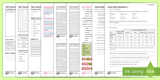 KS3 Food and Digestion Revision Pack | KS3 Science | Beyond