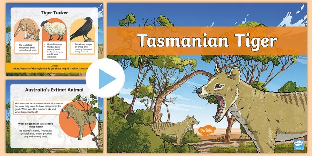 Shrinking Tasmanian tigers: resizing an Australian icon - Monash  Biomedicine Discovery Institute