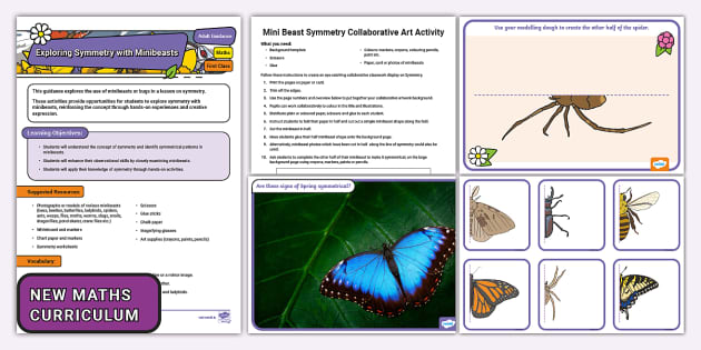 FREE! - Minibeast Symmetry Resource Pack (teacher made)